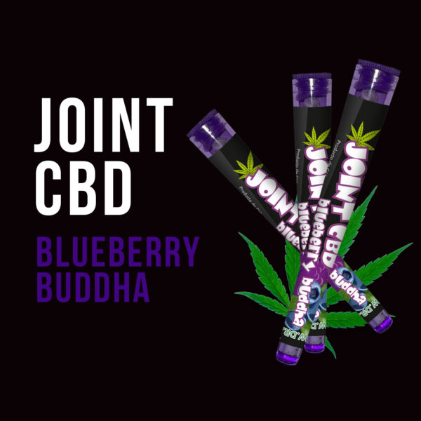 JOINT CBD BLUEBERRY BUDDHA